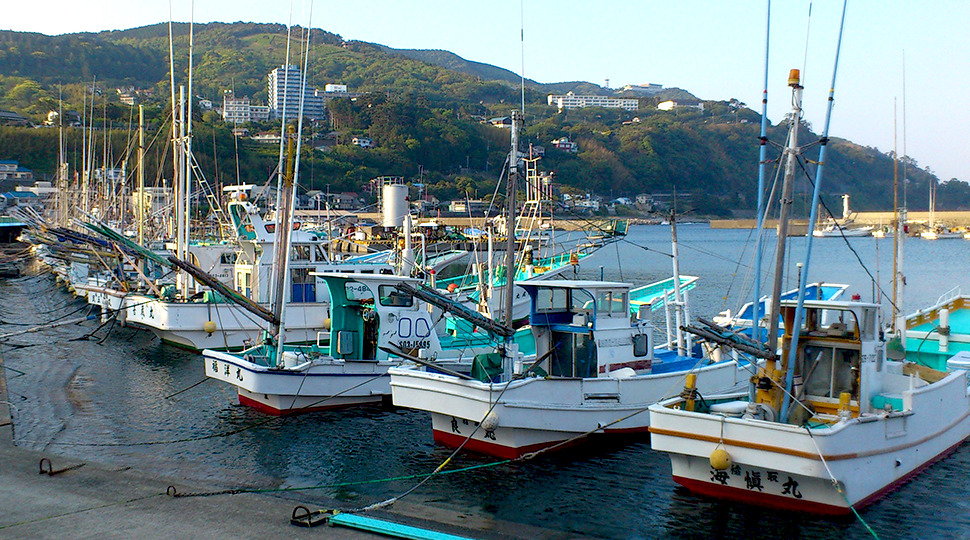 JFにて商標登録されたブランド金目鯛